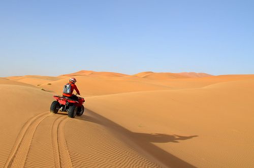 Morning Desert Safari 