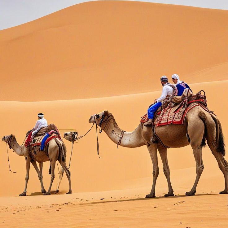 Morning Desert Safari 
