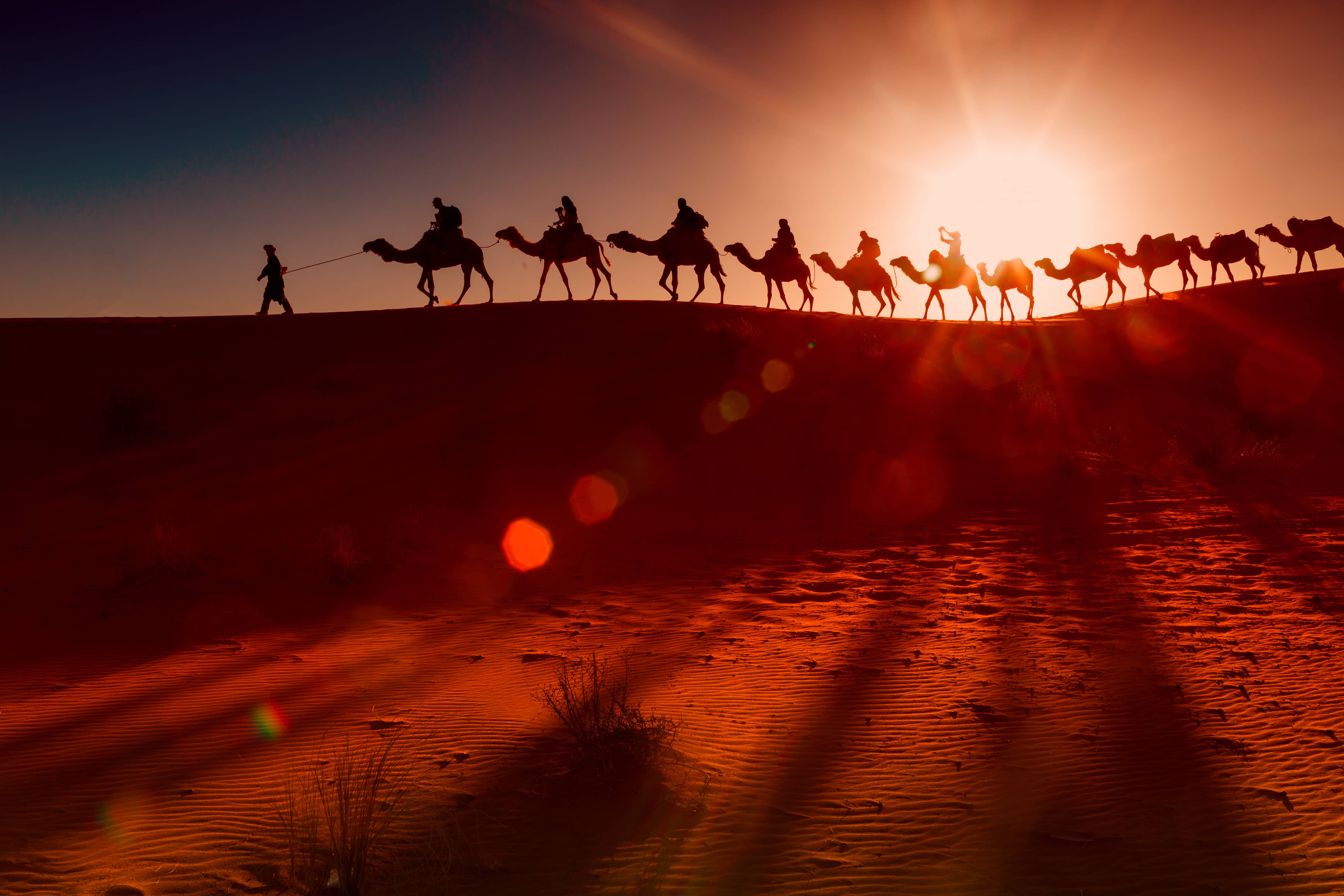 Evening Desert Safari
