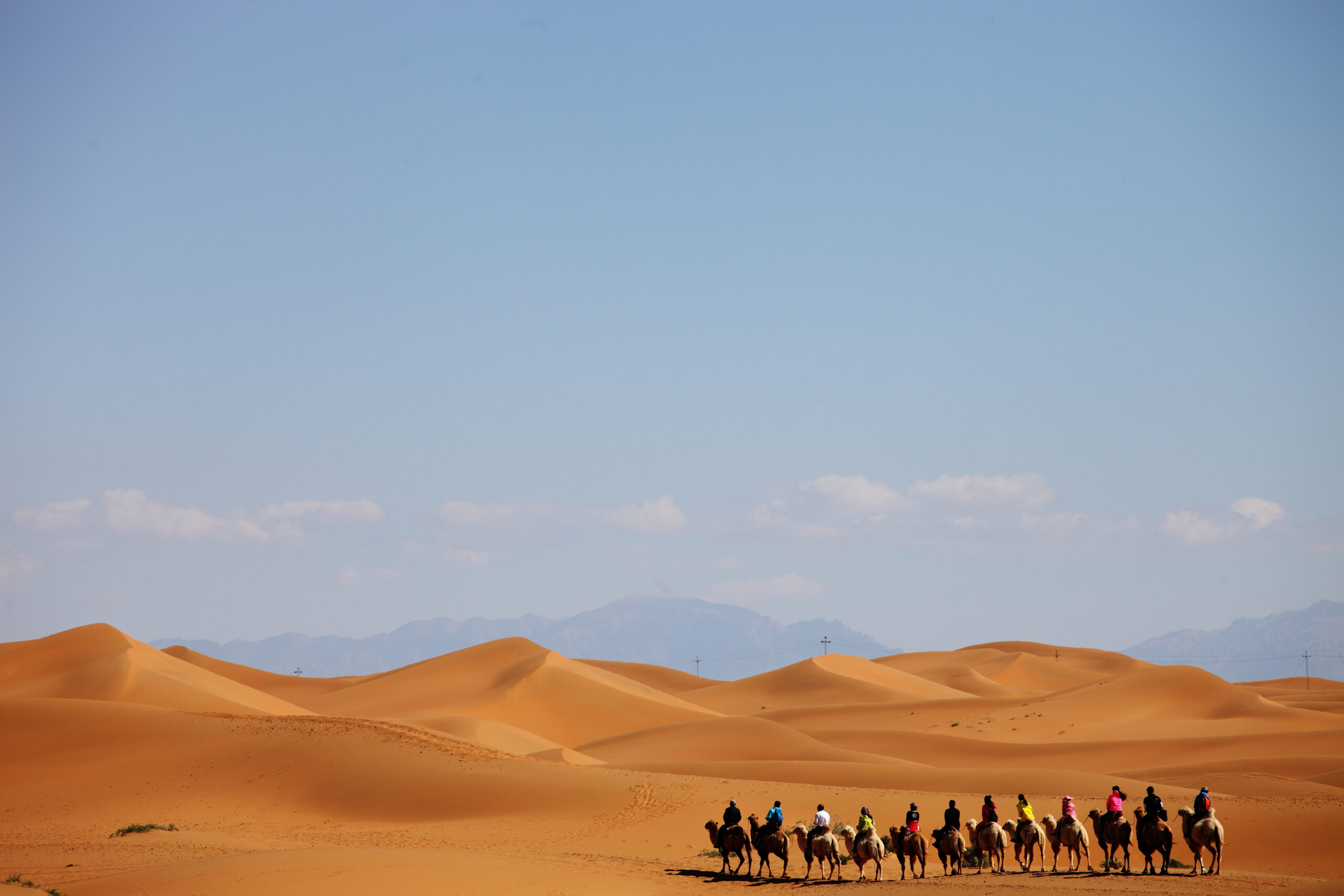 Camel Tour in Dubai