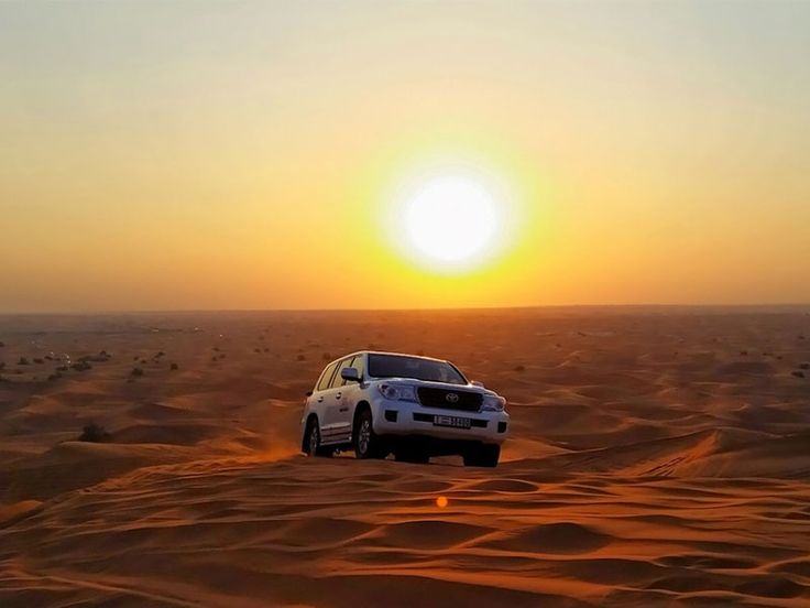 Evening desert Safari in Dubai