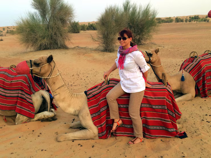 Camel Tour in Dubai, UAE