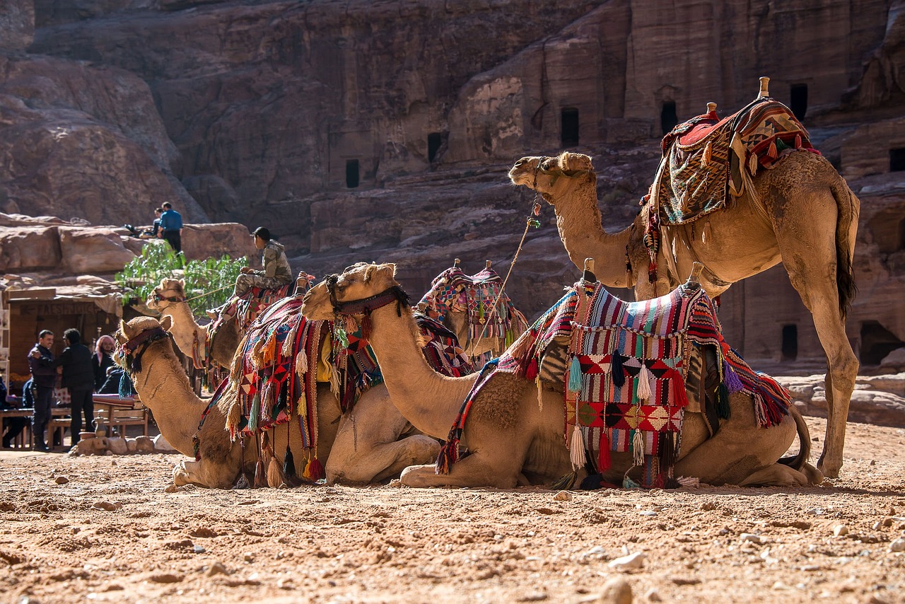 Exploring Dubai’s Desert Culture: From Camel Rides to Belly Dancing