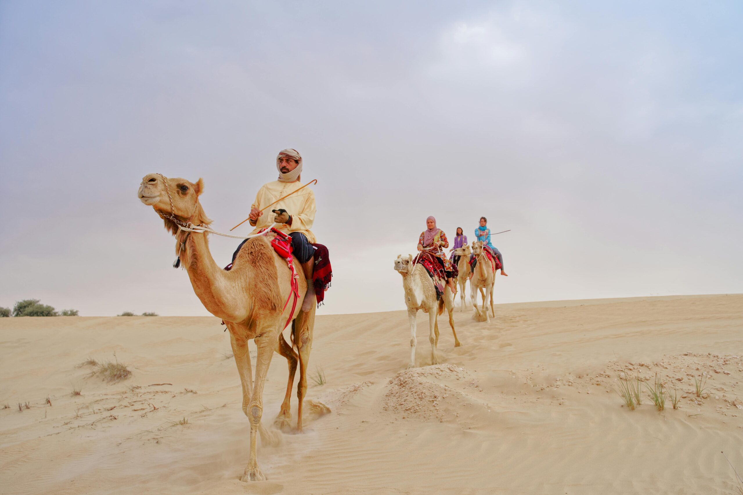 Best Time of Year to Go on a Desert Safari in Dubai