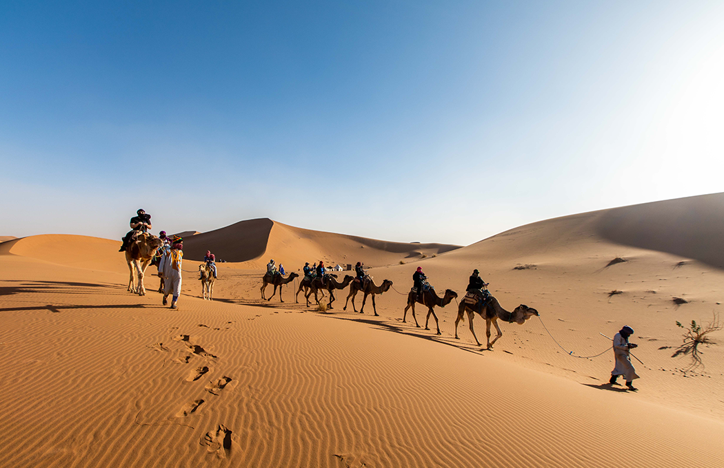 Desert Adventures After Sunset: Nighttime Safaris & Star Gazing in Dubai